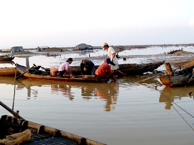 "Thảm họa mai dương" lan đến hồ Trị An